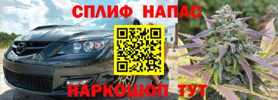 мдпв Обь