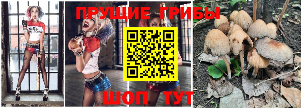 Псилоцибиновые грибы Magic Shrooms  Вход с VPN  Псилоцибиновые грибы Psilocybine cubensis  Сергиев Посад 