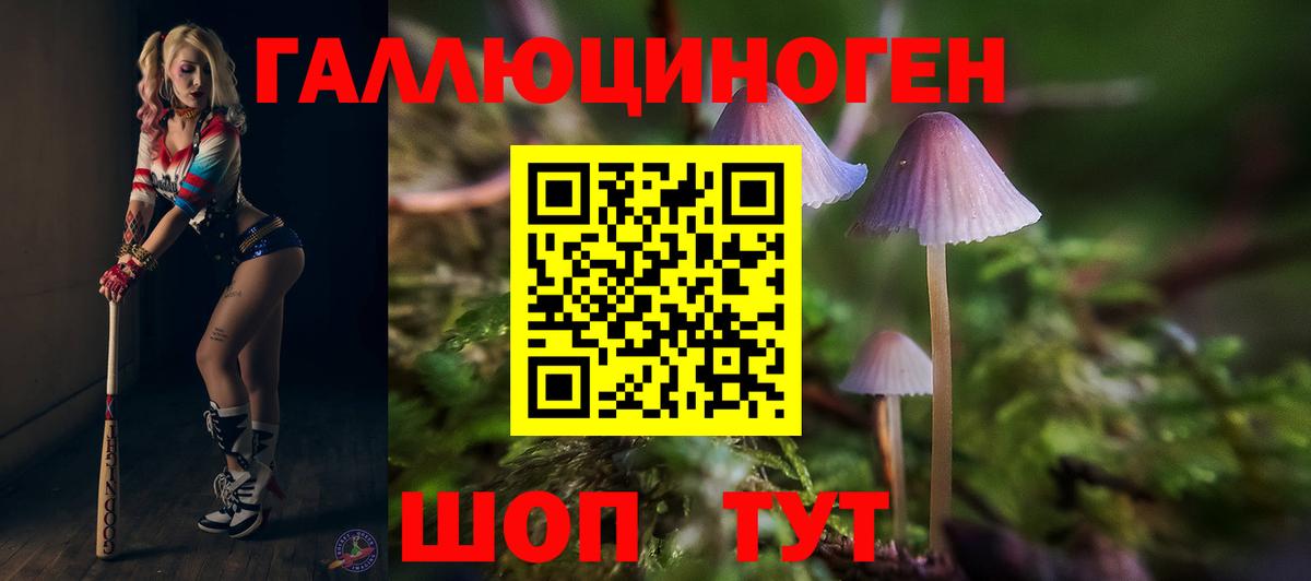 Галлюциногенные грибы Psilocybine cubensis Сергиев Посад